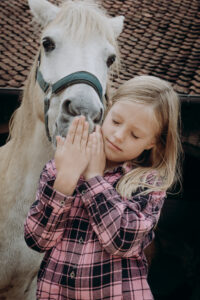 Ruhige Begegnung von Mensch und Pferd — Co-Regulation in der tiergestützten Arbeit auf dem Familienhof Hörnchen.