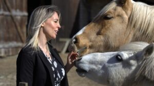 Aufmerksames Pferd auf dem Familienhof Hörnchen — Tiere als Spiegel für das Nervensystem traumatisierter Kinder.